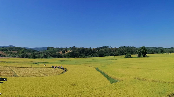 อาชีพเกษตรกรรม