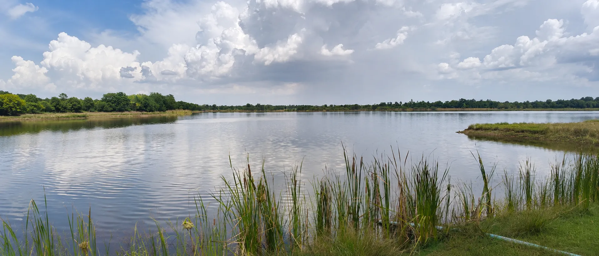 Landscape 4