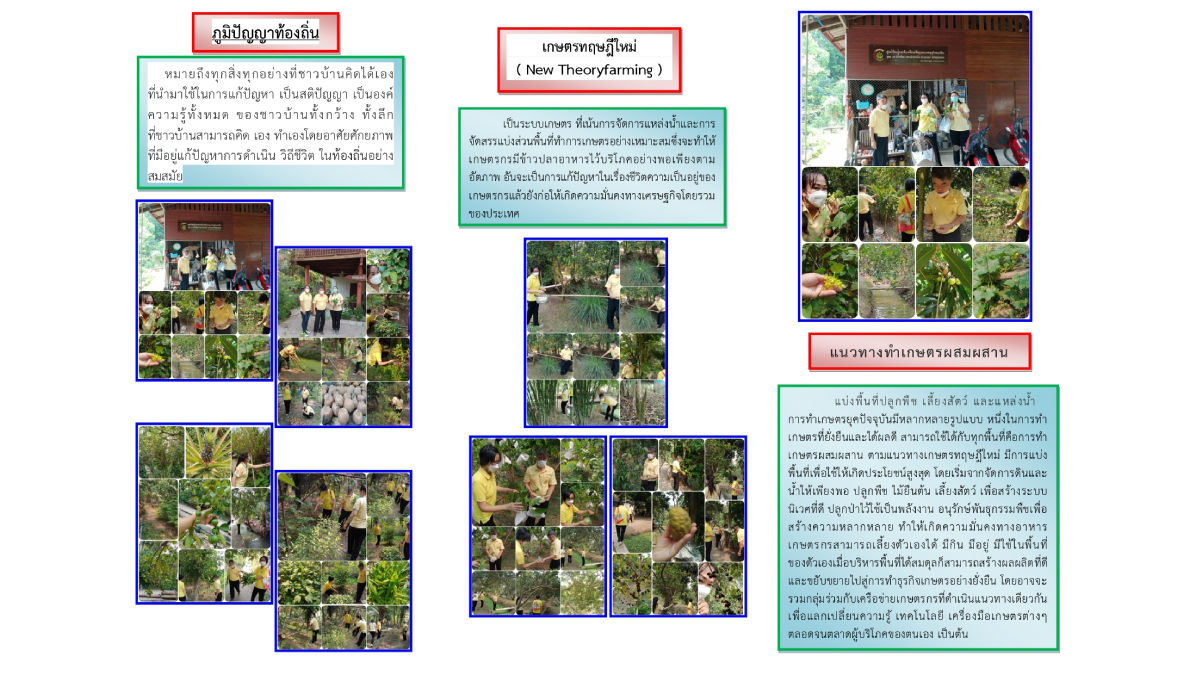 การทำการเกษตรผสมผสานเกษตรทฤษฎีใหม่ 1